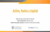 Activo, Pasivo y Capital - biblioteca.udgvirtual.udg.mx