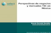 Perspectivas de negocios y mercados TIC en México