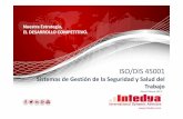 ISO/DIS 45001 SGI - Intedya