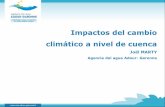 Impactos del cambio climático a nivel de cuenca