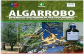 Algarrobo - INFOR
