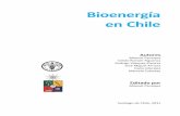 Bioenergía en Chile - fao.org