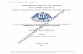 INFORMATICA E SISTEMAS DE OFICINA - unitru.edu.pe
