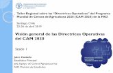 Visión general de las Directrices Operativas del CAM 2020