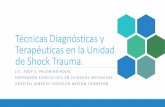 Técnicas Diagnósticas y Terapéuticas en la Unidad de Shock ...
