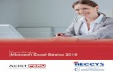 Curso Virtual en Microsoft Excel Básico 2019