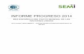 Informe de progreso 2014 - Grupo SEMI