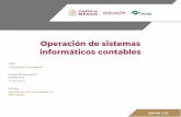 Operación de sistemas informáticos contables