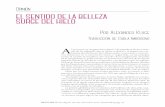 Opinión EL SENTIDO DE LA BELLEZA SURGE DEL HIELO