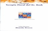 Formcción Terapia Floral del Dr, Bach INSTITUT MON ...