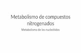 Metabolismo de compuestos nitrogenados - UABC