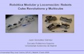 Robótica Modular y Locomoción: Robots Cube Revolutions y ...