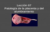 Lección 67 Patología de la placenta y del alumbramiento