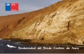 Biodiversidad del Borde Costero de Arica - Foto Naturaleza