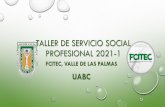 TALLER DE SERVICIO SOCIAL PROFESIONAL 2020-2