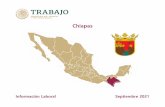 Chiapas - Gobierno | gob.mx