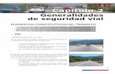 Libro del nuevo conductor profesional - Aula Virtual Chile