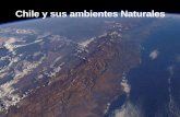 Chile y sus ambientes Naturales - caohvallenar.cl