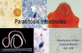 Parasitosis intestinales - miel.unlam.edu.ar