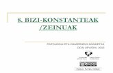 8. BIZI-KONSTANTEAK /ZEINUAK