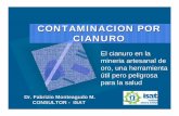 CONTAMINACION POR CIANURO - Geco - MineroArtesanal