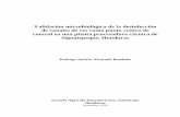 Validación microbiológica de la desinfección de canales de ...