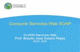 Consumir Servicios Web SOAP - bsolano.com