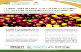La agricultura de Costa Rica y el cambio climático: ¿Dónde ...