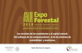 Los servicios de los ecosistemas y el capital natural: Del ...
