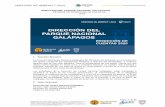 Informe rendicion de cuentas DPNG-2020