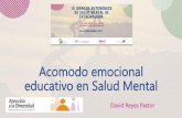 Acomodo emocional educativo en Salud Mental