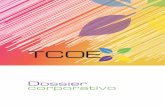 Dossier - Grupo DCC 3000