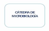 CÁTEDRA DE MICROBIOLOGÍA