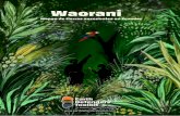 Waorani - earthdefenderstoolkit.com