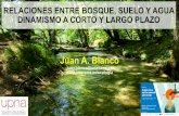 1 Juan Blanco