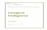 Lengua Indígena