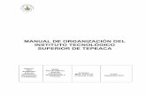 MANUAL DE ORGANIZACIÓN DEL INSTITUTO TECNOLÓGICO SUPERIOR ...
