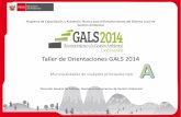 Taller de Orientaciones GALS 2014
