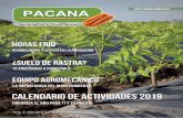 Revista Pacana - comenuez.com