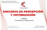 ENCUESTA DE PERCEPCIÓN Y VICTIMIZACIÓN