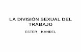 LA DIVISIÓN SEXUAL DEL TRABAJO