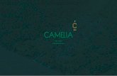 Brochure Camelia Nuevo2021