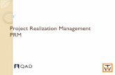 Project Realization Management PRM - Socoda