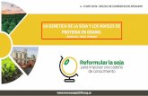 Presentación de PowerPoint - MERCOSOJA 2019