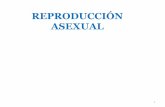 REPRODUCCIÓN ASEXUAL - UNLPam