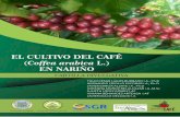 EL CULTIVO DEL CAFÉ Coffea arabica L.) EN NARIÑO