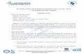 INFORME COMITÉ DE VIGILANCIA EPIDEMIOLOGICA COVE- …