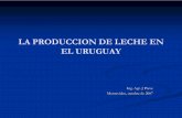 LA PRODUCCION DE LECHE EN EL URUGUAY