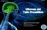 Gliomas del Tallo Encefálico