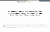 Manual de Organización Coordinación General de Servicios ...